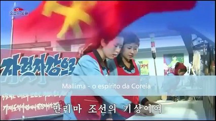 "Nós somos equitadores de Mallima"