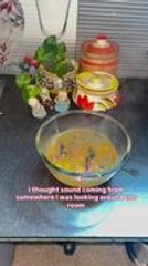 Glass Bowl Cracks and Shatters as Woman Pours Piping-Hot Rasam Into It