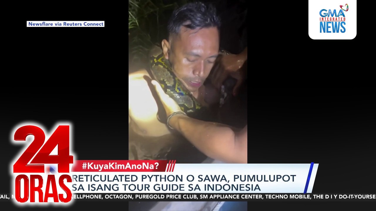 Reticulated python o sawa, pumulupot sa isang tour guide sa Indonesia ...