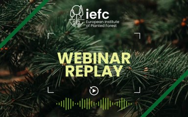 Webinar - Douglas Fir Health: insights from Europe
