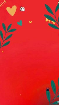 Glow & Grow Giblet – Premium Wet Cat Food Online in Karachi