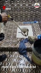 घर के टॉयलेट में डेरा जमाकर बैठा था सांप, 15 दिन से दहशत में था परिवार