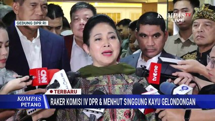 Hasil Raker-Pesan DPR Titiek Soeharto ke Kementerian Kehutanan Imbas Bencana di Sumatera