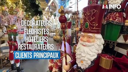 Actualités : Un incontournable de la déco de Noël (Fr,Décembre 2025)