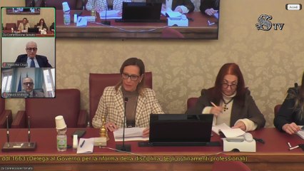 Roma - ​Riforma della disciplina degli ordinamenti professionali (04.12.25)