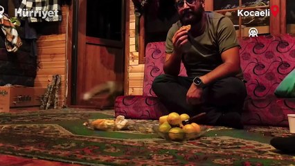 Barakasına gelen tilkiyi elleriyle besledi