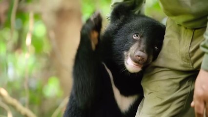 Für die Wildnis geboren Trailer OmdU