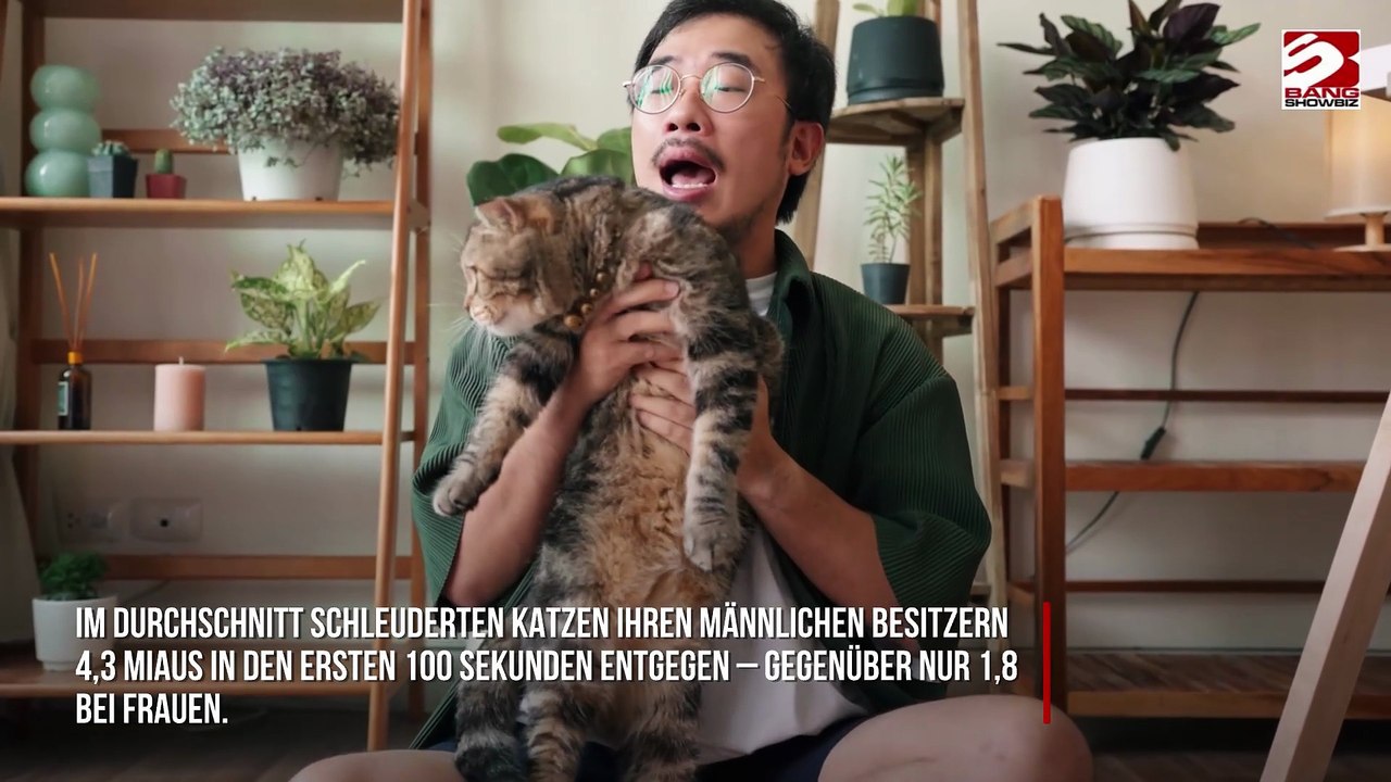 Katzen 'schreien' mehr bei Männern