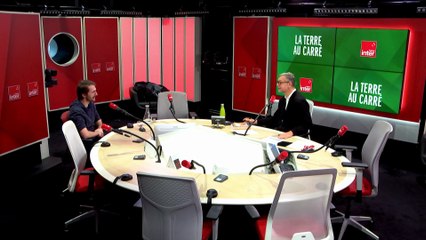 Café, la face cachée d'un trafic mondial - La terre au carré