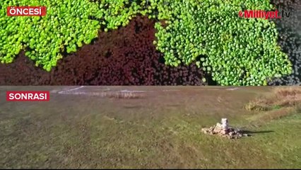 Terkos Gölü'nde su çekilince tarihi su kanalları gün yüzüne çıktı