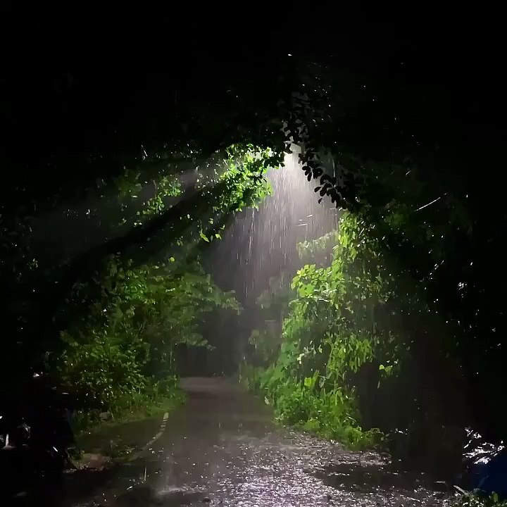 Rainy night