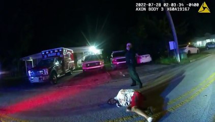 Fugitives Caught on Tape S02E18