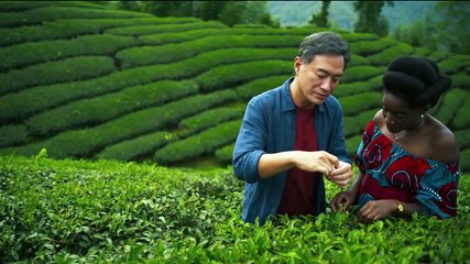 Black Tea: Trailer HD VO st FR/NL