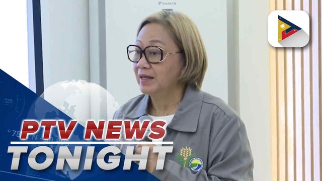 DA-Region II declares FAW infestation as a disaster affecting municipalities in the region; R&D for genetically modified, pest-resistant corn variety continues to combat infestation