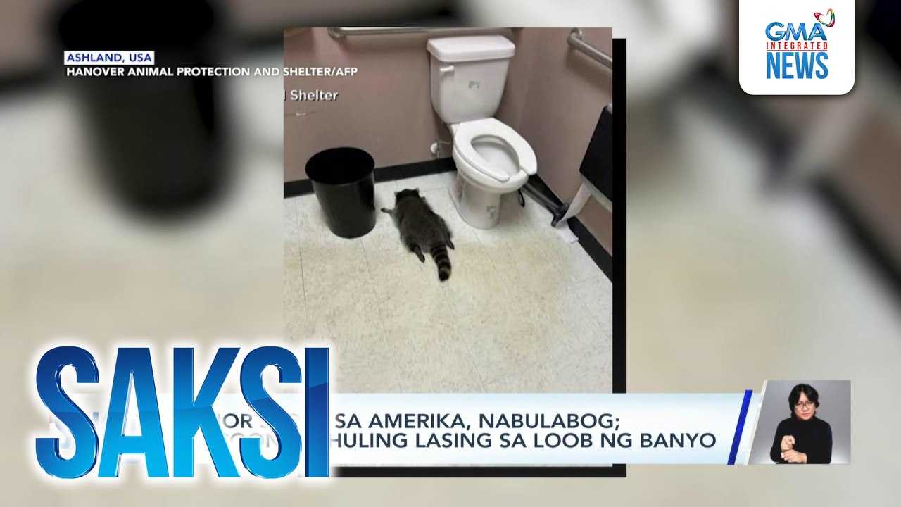 Liquor store sa Amerika, nabulabog; raccoon, nahuling lasing sa loob ng banyo | Saksi