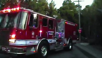 Fugitives Caught on Tape S02E17 H 264