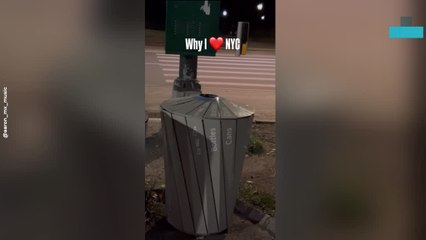 Man Trying to Befriend a Raccoon in Central Park