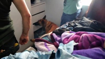 Polícia Civil apreende drogas e prende suspeito por tráfico no bairro Santa Cruz, em Cascavel