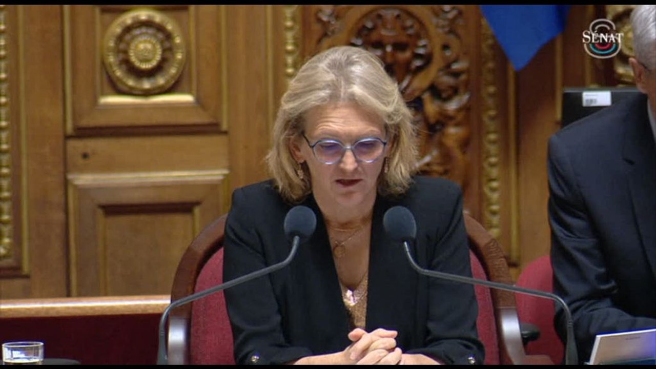 Il Senato francese approva il piano di entrate del bilancio statale