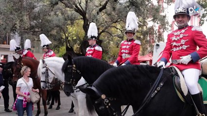 Palma rinde homenaje a la Policía Montada en su 150 aniversario