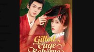 Gilded Cage Scheme Chinese Drama - English Sub
