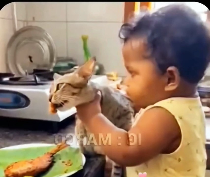 Comedy 2