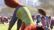 Nick and Judy Try Yoga, Zootopia Fan Animation #zootopia #zootopia2 #zootropolis #disney