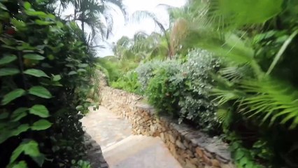 Visite guidée de l'île aux orgies, où Jeffrey Epstein emmenait ses proies