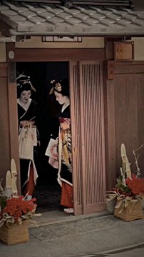 Geisha & Maiko
