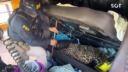 Em menos de 24 horas PRF apreende mais de 40 quilos de drogas na BR-487 em Alto Paraíso