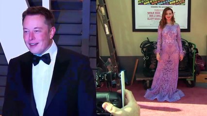 Elon Musk & Natasha Bassett Split After His Twin Announcement