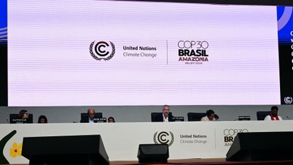 Entre limitaciones y oportunidades: lo que dejó la COP30 para el futuro climático