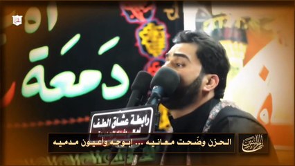 لطمية بمناسبه شهادة السيدة ام البنين عليها السلام /إنها أم البنين