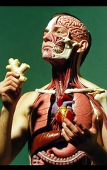 Ginger effects in your body 3D Animation