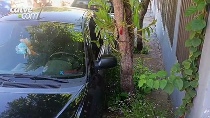 Batida entre três veículos deixa mulher ferida em Toledo