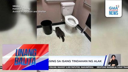 Raccoon, nalasing sa isang tindahan ng alak | Unang Balita