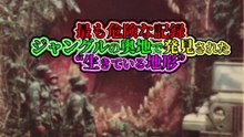 最も危険な記録 ジャングル奥地で発見された“生きている地形”