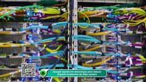 Aposta do Google pode reduzir impacto ambiental de data centers