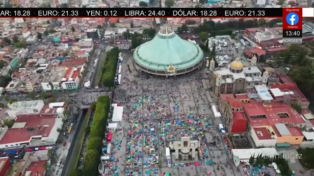 Perrito Peregrino busca evitar el abandono de canes durante las peregrinaciones a la Basílica