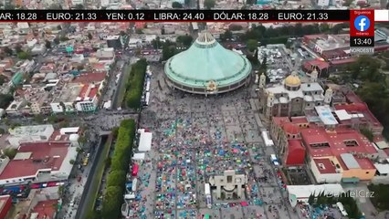 "Perrito Peregrino" busca evitar el abandono de canes durante las peregrinaciones a la Basílica