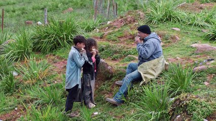 【Dublado】 A Oliveira Branca 7