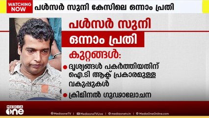കേരളത്തെ പിടിച്ചുകുലുക്കിയ നടി ആക്രമിക്കപ്പെട്ട സംഭവം: ഒന്നാം പ്രതി പൾസർ സുനിയുടെ പങ്കെന്ത്?