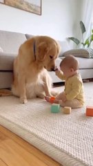 Happy moments between a little baby and a cute dog playing together! 🐶👶❤️ Enjoy the love and fun that babies and pets bring! #baby #dog #ai #puppy