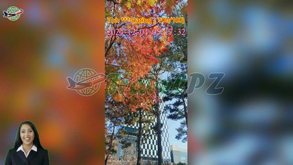 「TravelPZ」 Review Incheon Airport to Seoul Bus Ticket by Incheon Airport Limousine