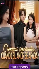 Sub EspaÑOl Caminos Separados Cuando El Amor Se Apaga Serie Completa