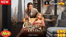 The Countdown to Divorce Full Movies English Sub
