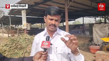 मुक्त गोठा संकल्पनेतून दररोज 550 लिटर दुधाचं उत्पादन कसं होतं? वाचा, राष्ट्रीय पुरस्कार मिळवणाऱ्या कोल्हापूरच्या पाटील कुटुंबाची यशोगाथा!