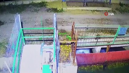 Mevsim normalleri değişti, ayılar hâlâ uyanık