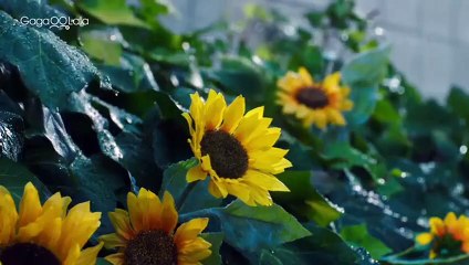 Zettai BL ni Naru Sekai VS Zettai BL ni Naritakunai Otoko Final cap 3