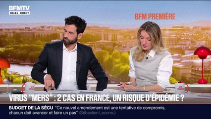 SIGNÉ BFM - Qu'est-ce que le virus "mers", qui a touché deux personnes en France?